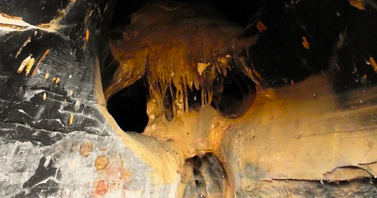 Foto de caverna da exposição "Antropoformas".