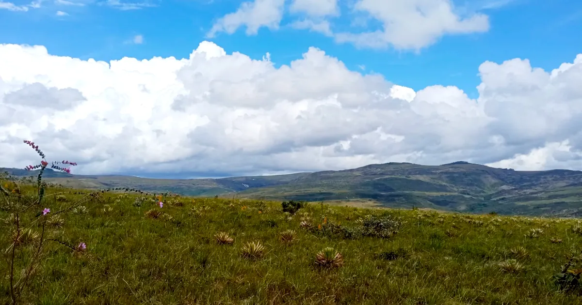 Foto dos campos de altitude na Serra do Cipó em Minas Gerais.