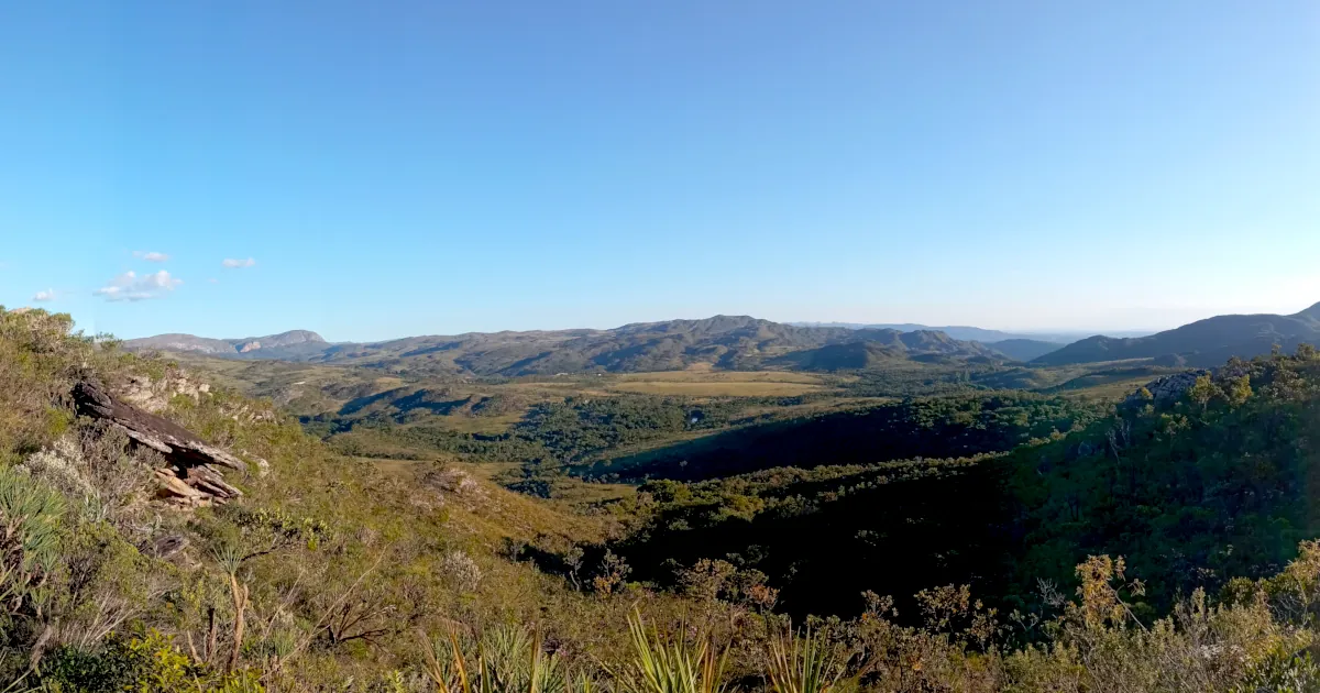 Foto dos campos rupestres de altitude no topo da Serra do Espinhaço, MG.