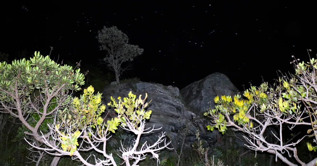 Foto do sítio arqueológico Gruta do Seichú em Minas Gerais.