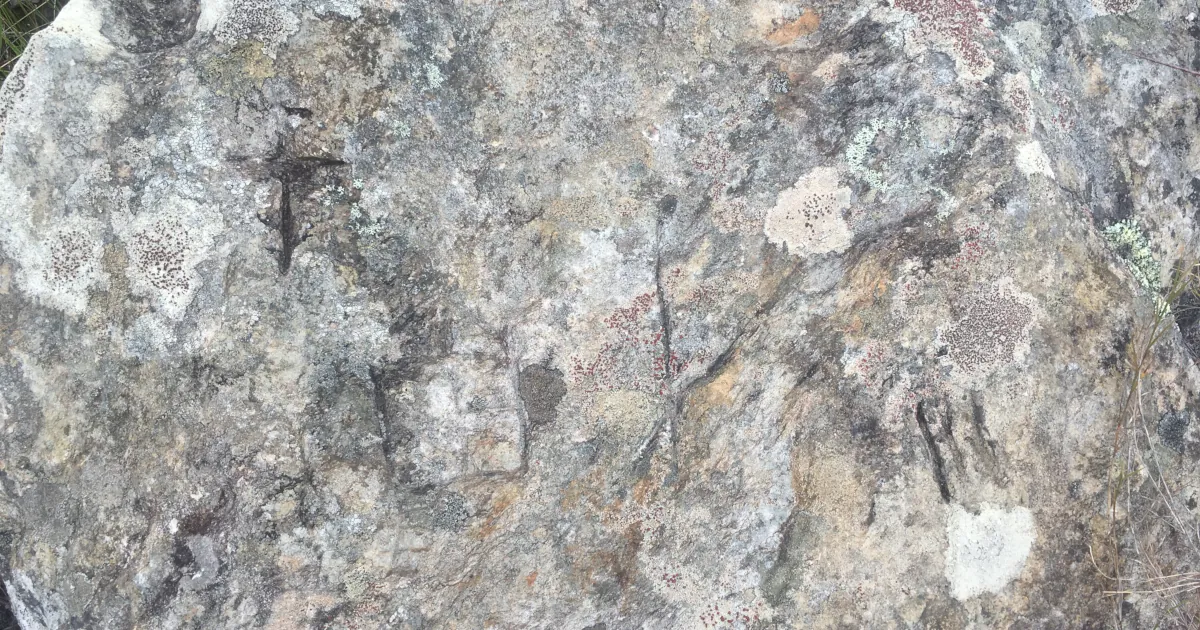 Foto de petróglifos no sítio arqueológico Petróglifos do Parauninha em Minas Gerais.
