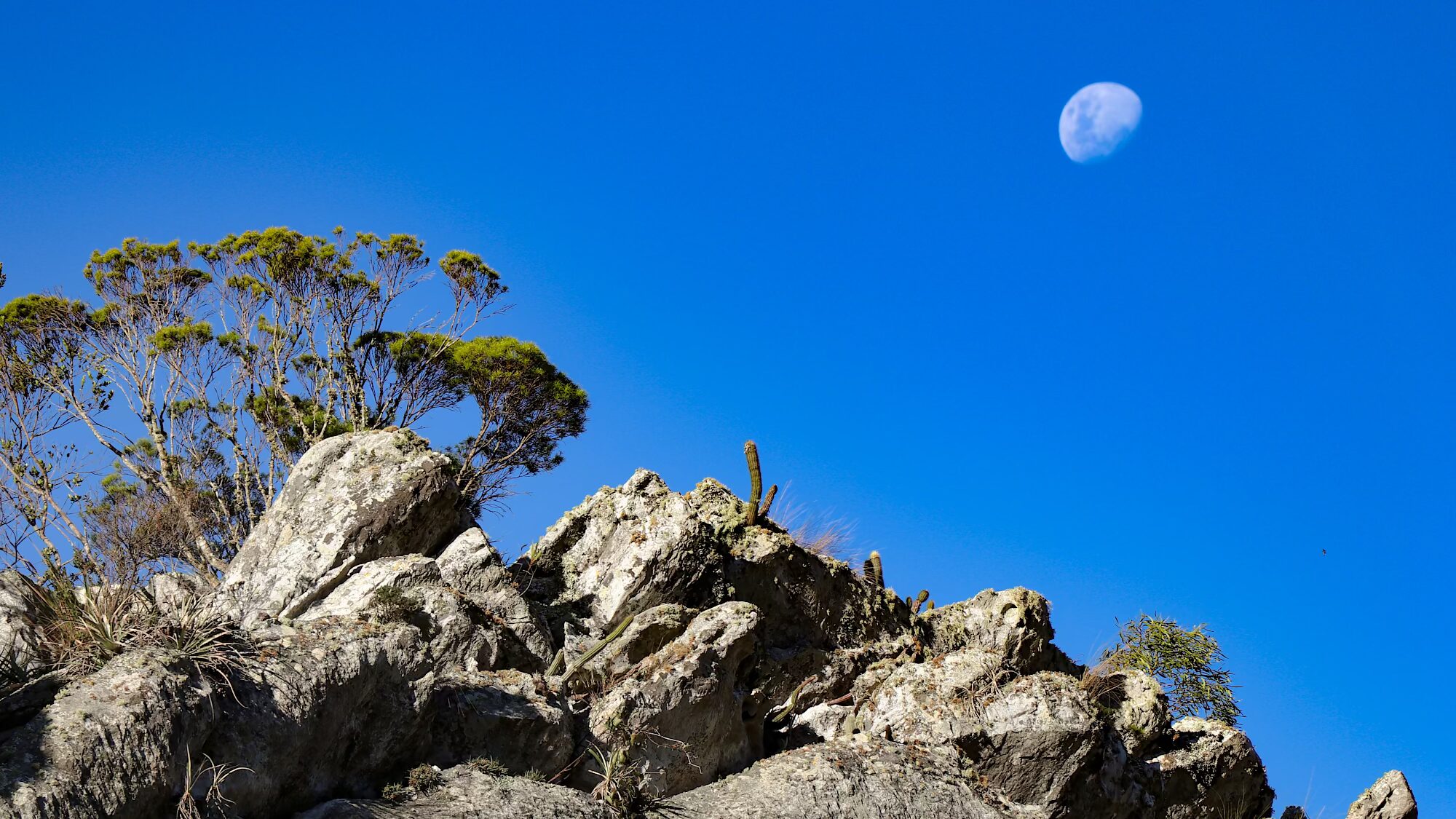 Foto do afloramento rochoso do sítio arqueológico Lapa da Dança do Sol com a lua ao fundo.