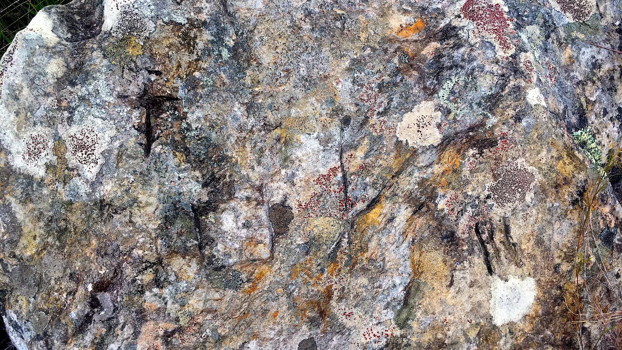 Foto de gravuras rupestres no sítio arqueológico Petróglifos do Parauninha em Minas Gerais.